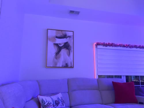 Customer photo review of SECRET SOPHISTICATION CANVAS