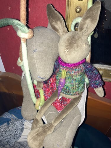 Customer photo review of DANIEL, LE LAPIN - M/L