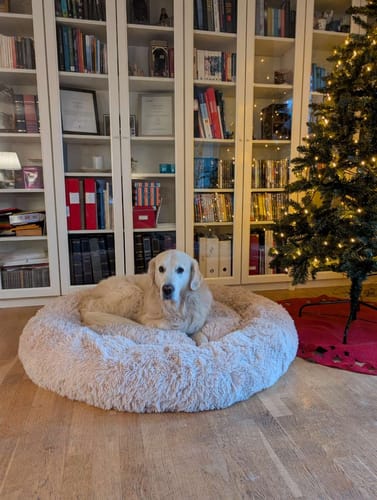 Customer photo review of CalmBed - Motverkar stress & hjälper mot ångest