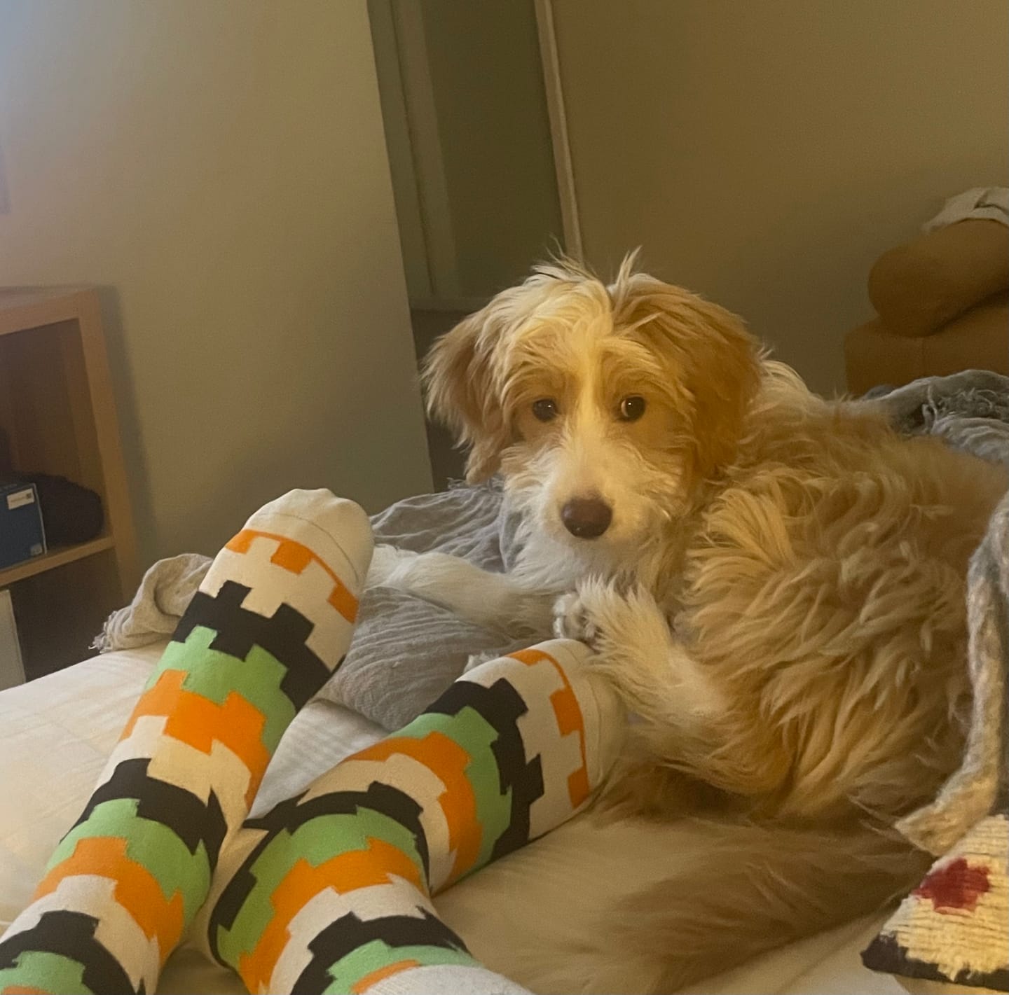 Customer photo review of Unisex 12 Month Sock Subscription (PrePaid)