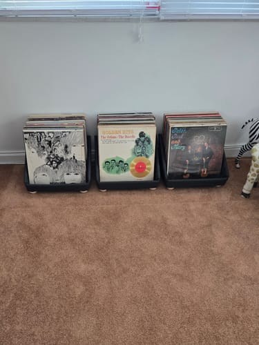 Customer photo review of Record Roots Tabletop Storage System