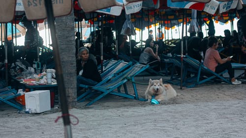 Customer photo review of NORTHBORDERS MEGA PACK