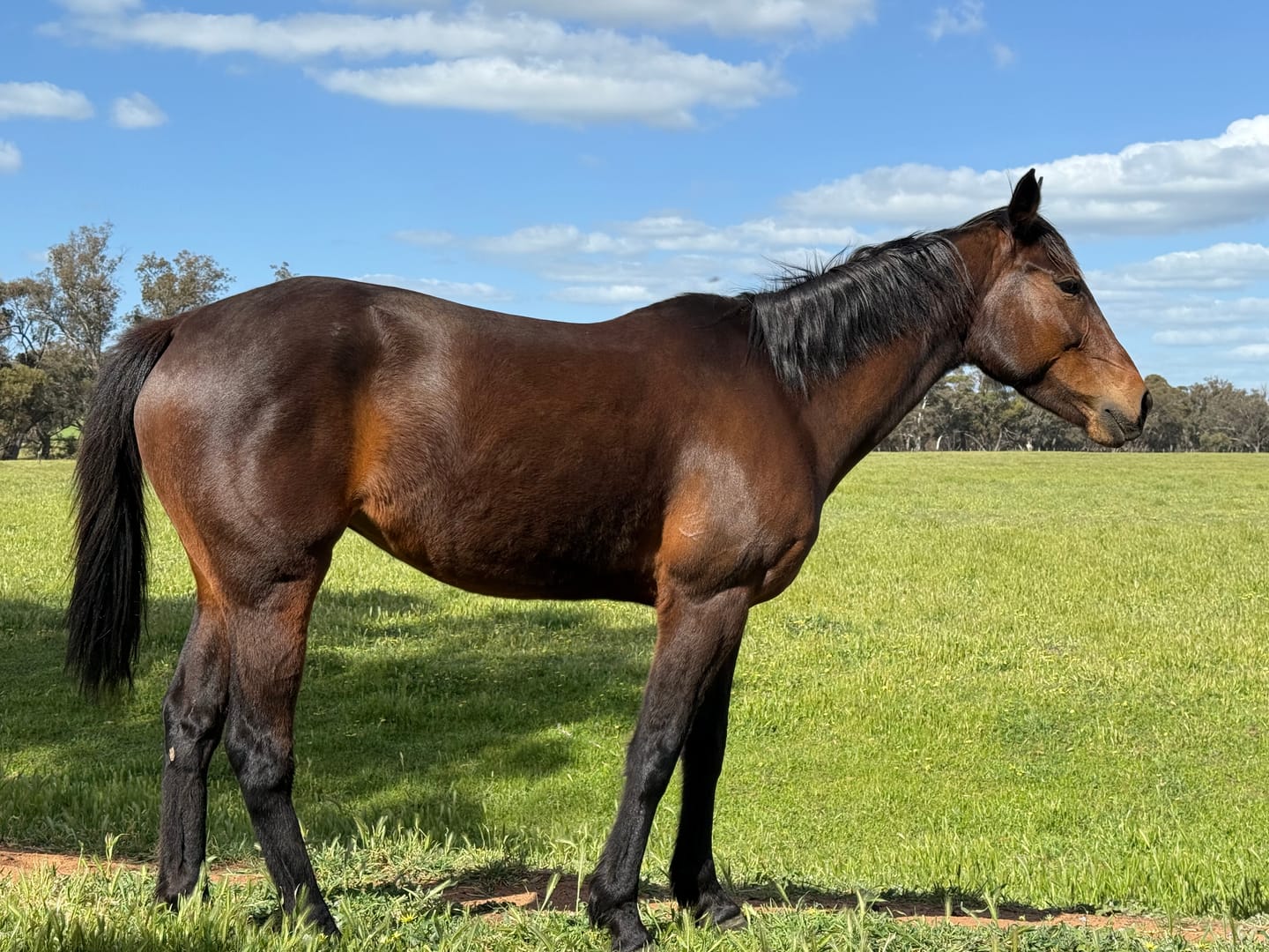 Customer photo review of Digestive EQ