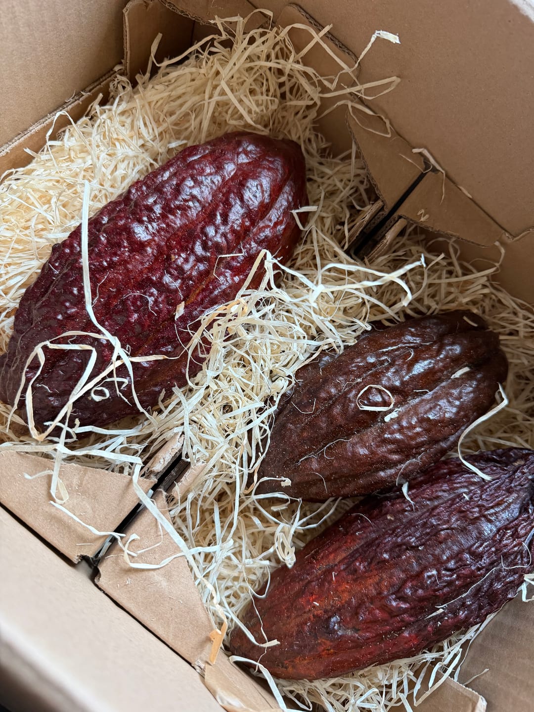 Customer photo review of Kakaofrucht naturbelassen