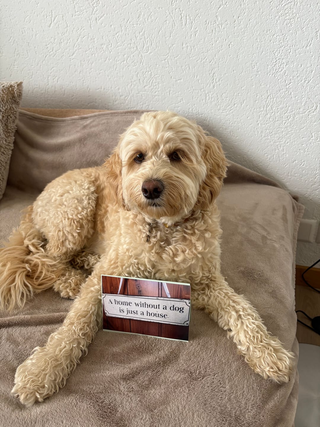 Customer photo review of Barf-Öl