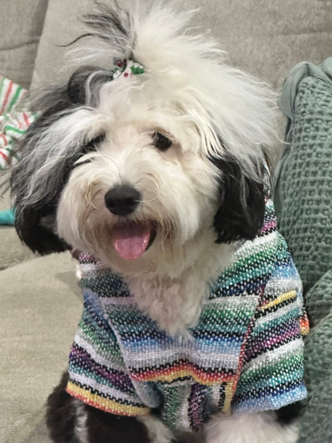 Customer photo review of Playa Poncho – Mystery Color (Bella, Charlie, or Fun Edition)