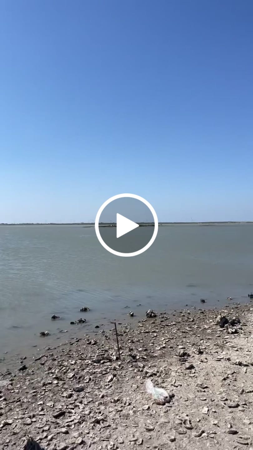 Customer video review of Mini Scissors for Cutting Braided Fishing Line