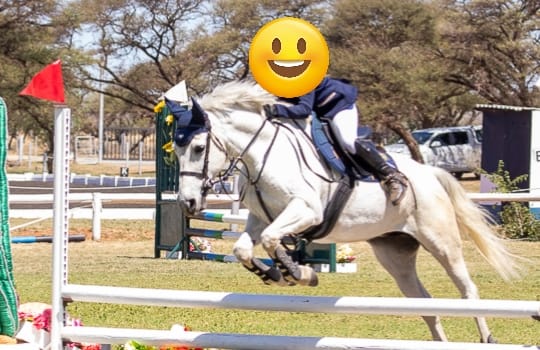 Customer photo review of Flexcare Equine (Joint Supplement For Horses)