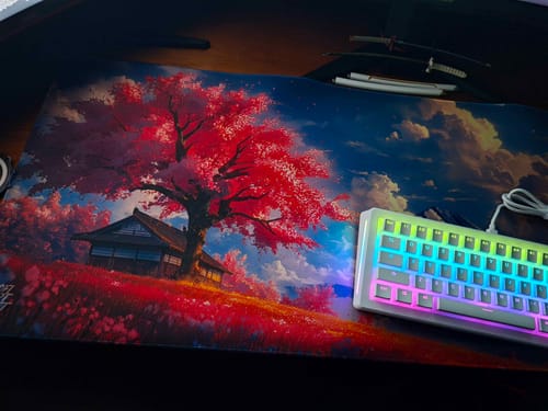 Customer photo review of LoFi Dream