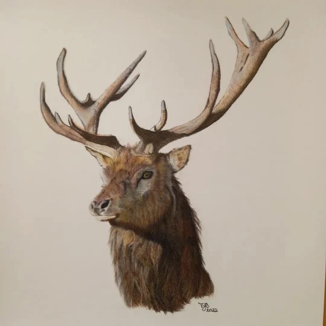 Customer photo review of Giclée Art Print