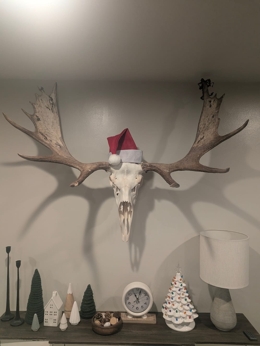 Customer photo review of SkulLok | Large Game