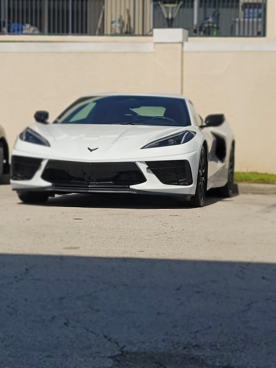 Customer photo review of Chevrolet Corvette C8 DRY CARBON FIBER 5VM Side Skirts