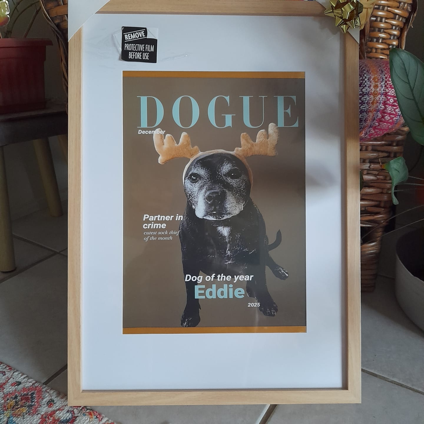 Customer photo review of Personalised Poster With Dog - Dogue