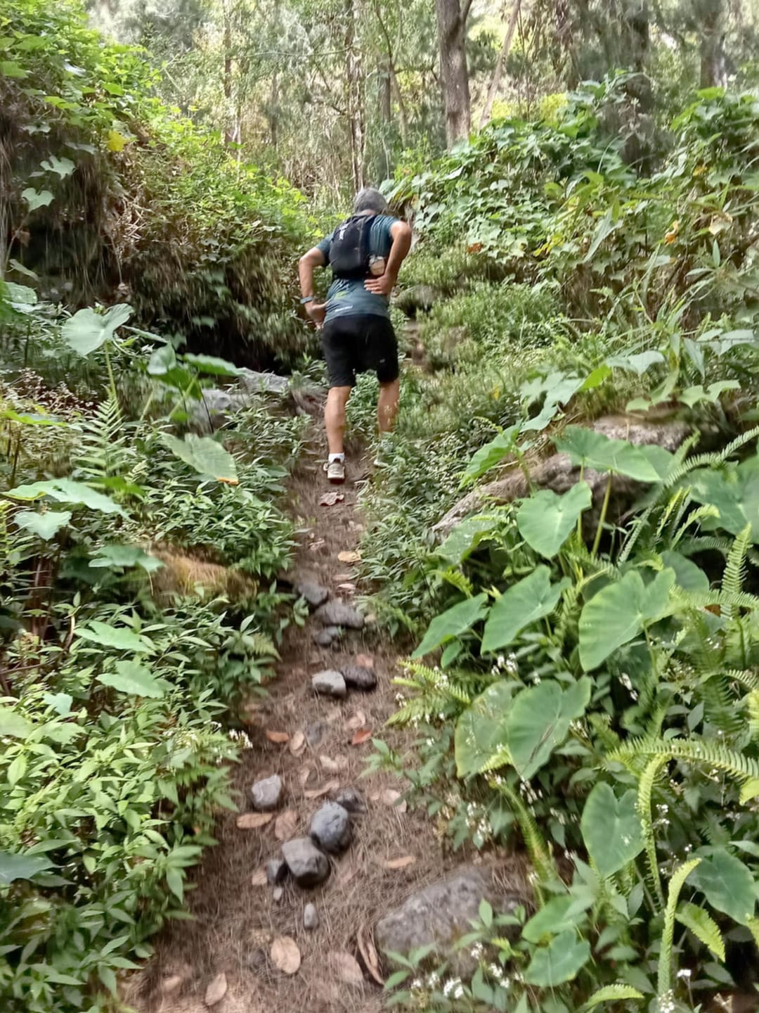 Customer photo review of Gilet d'Hydratation 15L