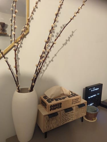 Customer's box of Unbleached Bamboo Tissues on a small wooden cabinet next to a tall white vase with pussy willows.