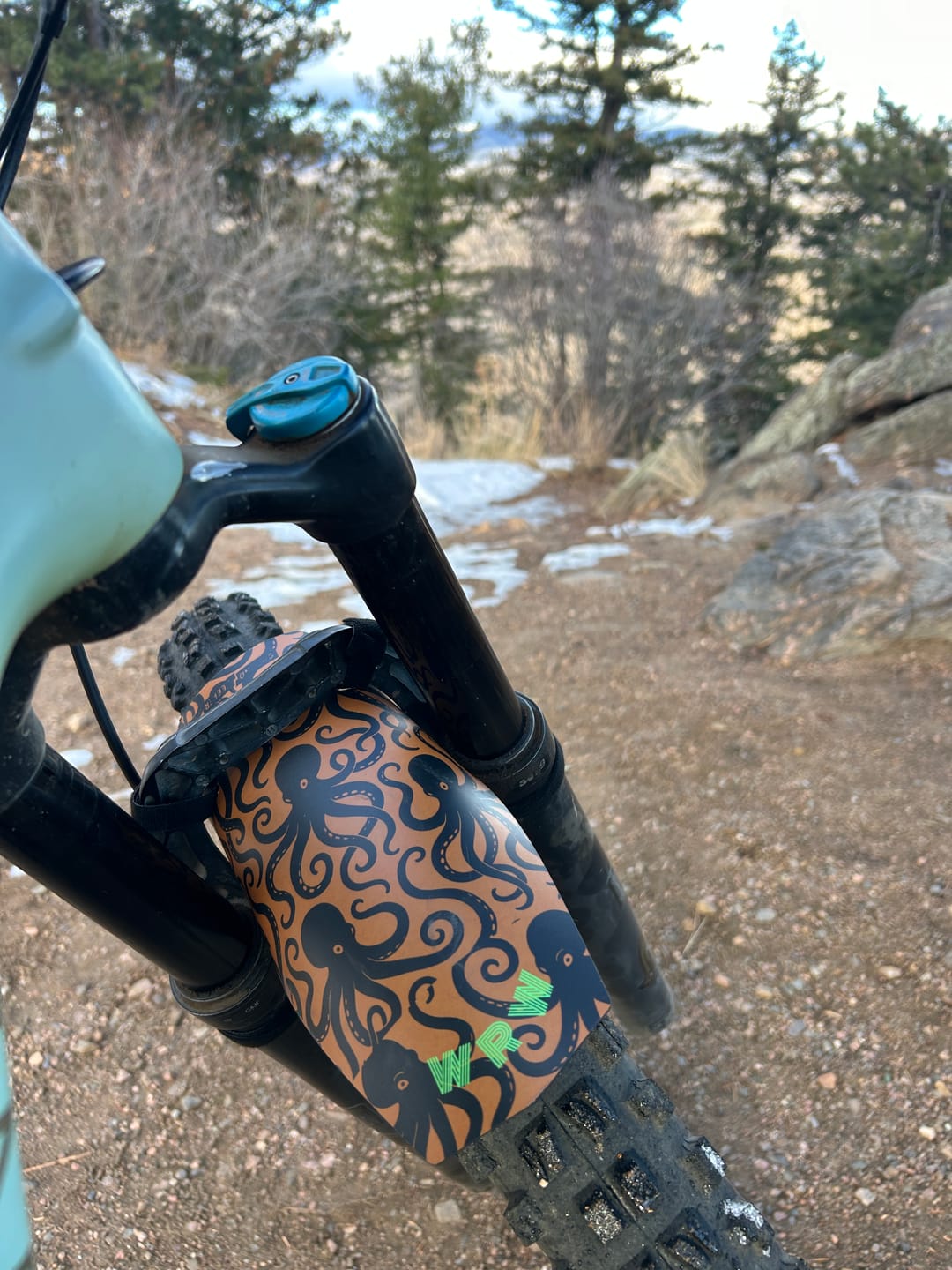 Customer photo review of Custom Fender