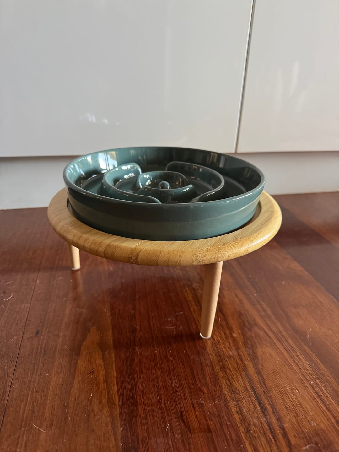 Customer photo review of Ceramic Slow Feeder Pet Bowl for Dogs and Cats