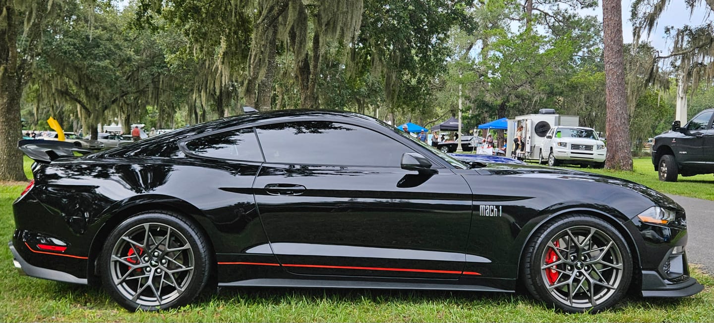 Customer photo review of Punch-It - 16oz. w/ Black Sprayer