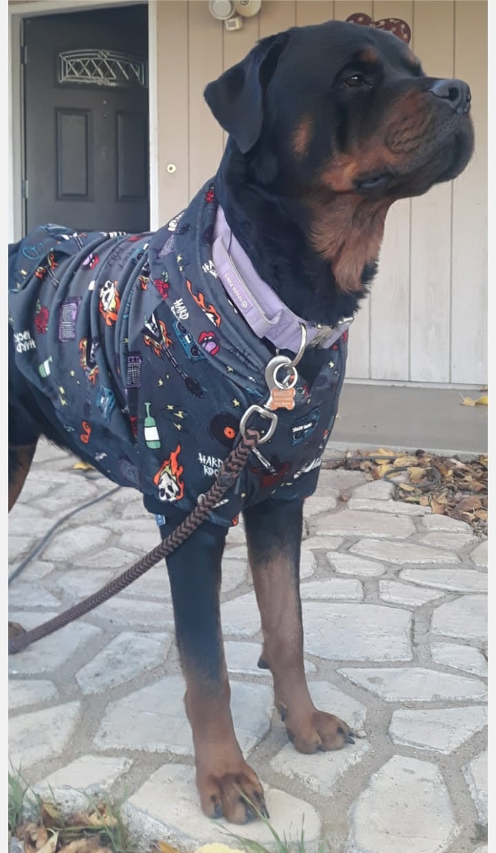 Customer photo review of Dog Hoodie Prints