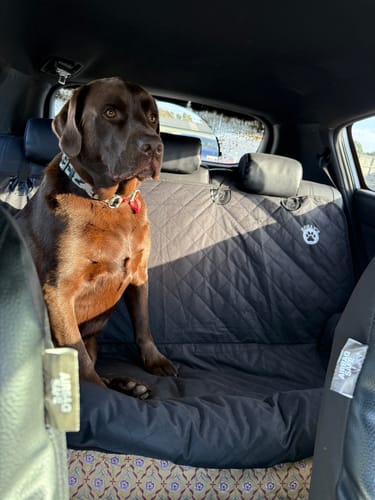 Customer photo review of Car Seat Cover