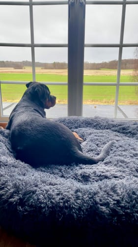 Customer photo review of CalmBed - Motverkar stress & hjälper mot ångest