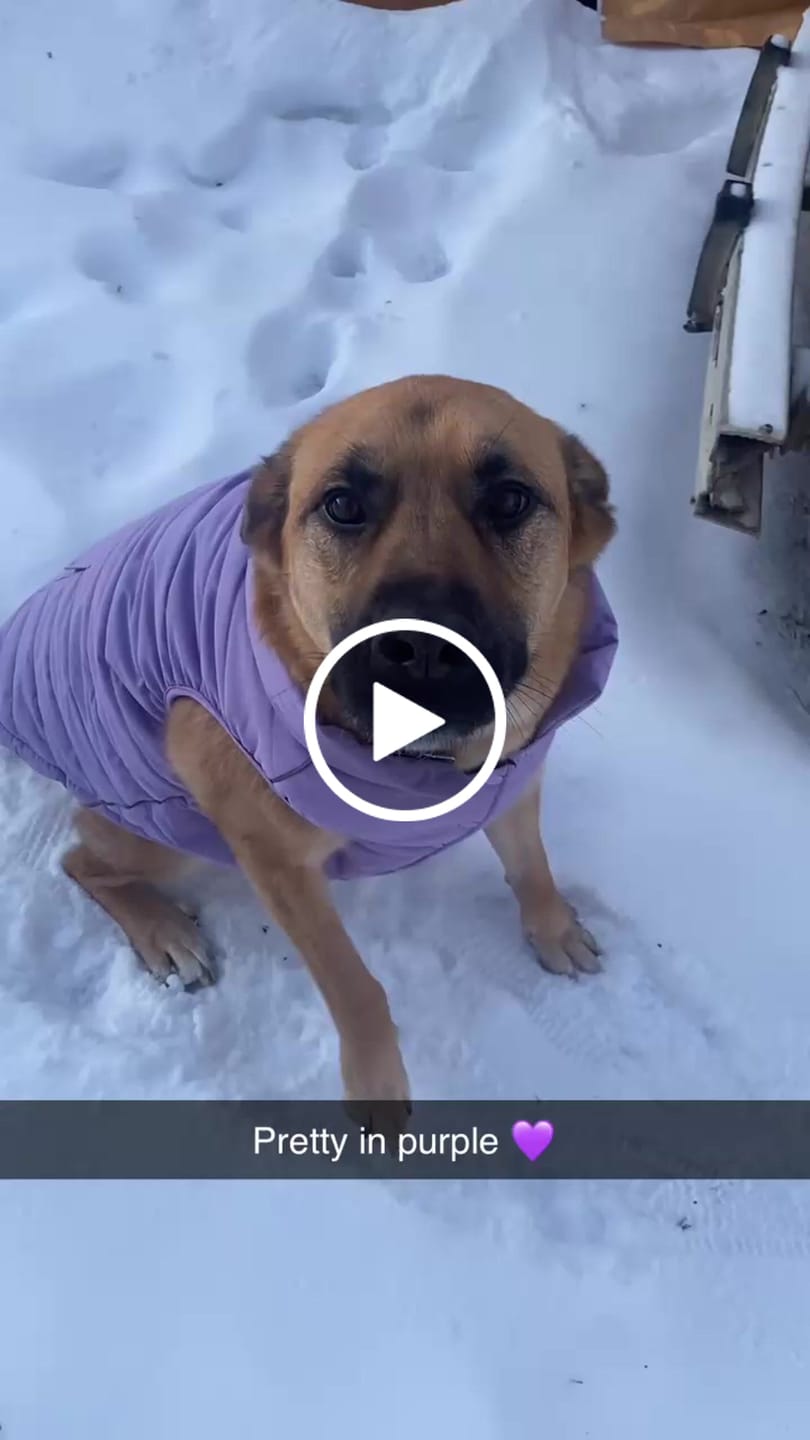 Customer video review of WarmShield Water-Resistant Jacket - Lilac