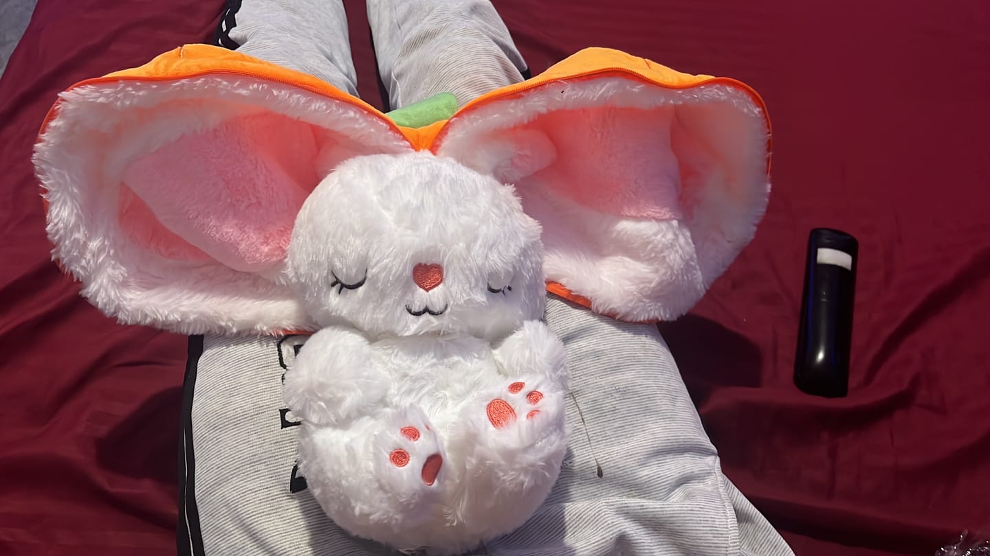 Customer photo review of Dream Bunny: Peluche Antiestrés