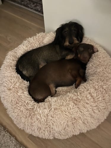 Customer photo review of CalmBed - Motverkar stress & hjälper mot ångest