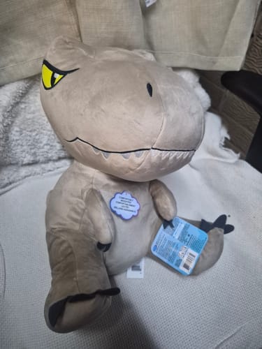 Customer photo review of Jurasic World Dinosaur Weighted Sensory Plush