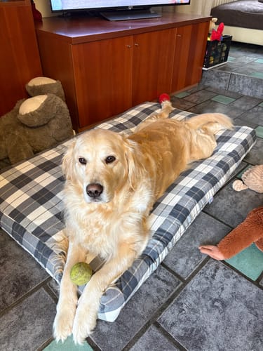 Customer photo review of Materassino Sfoderabile Panama Scozzese Trama Nocciola