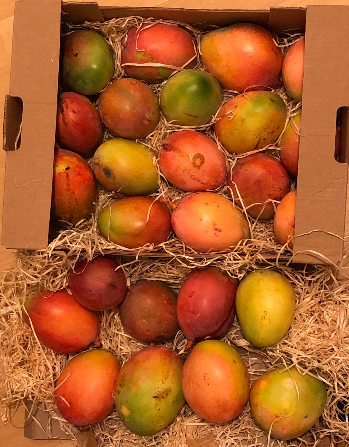 Customer photo review of Mini-Mango Keitt Bio Sonderpreis %