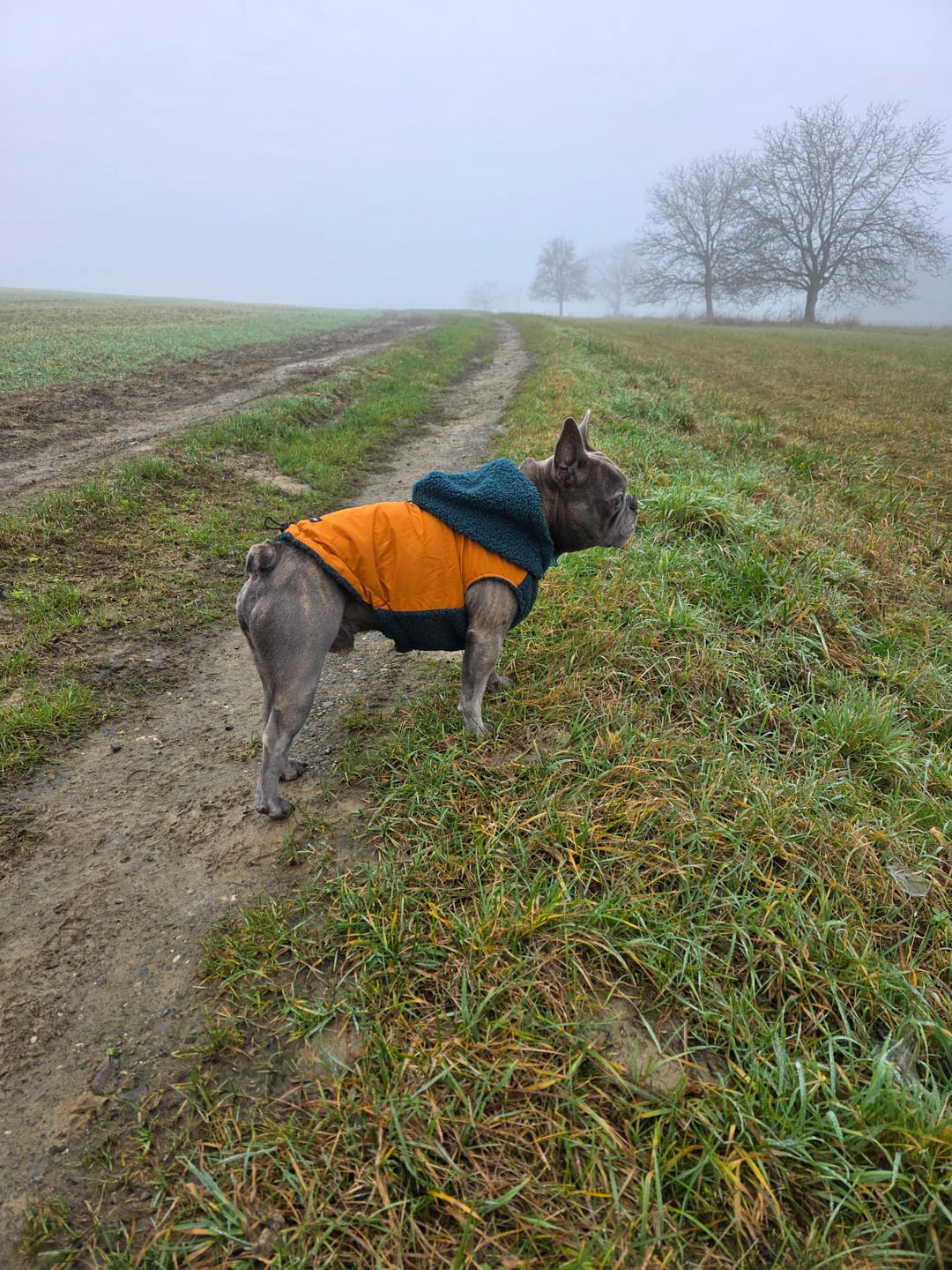 Customer photo review of Reversible Sherpa Jackets