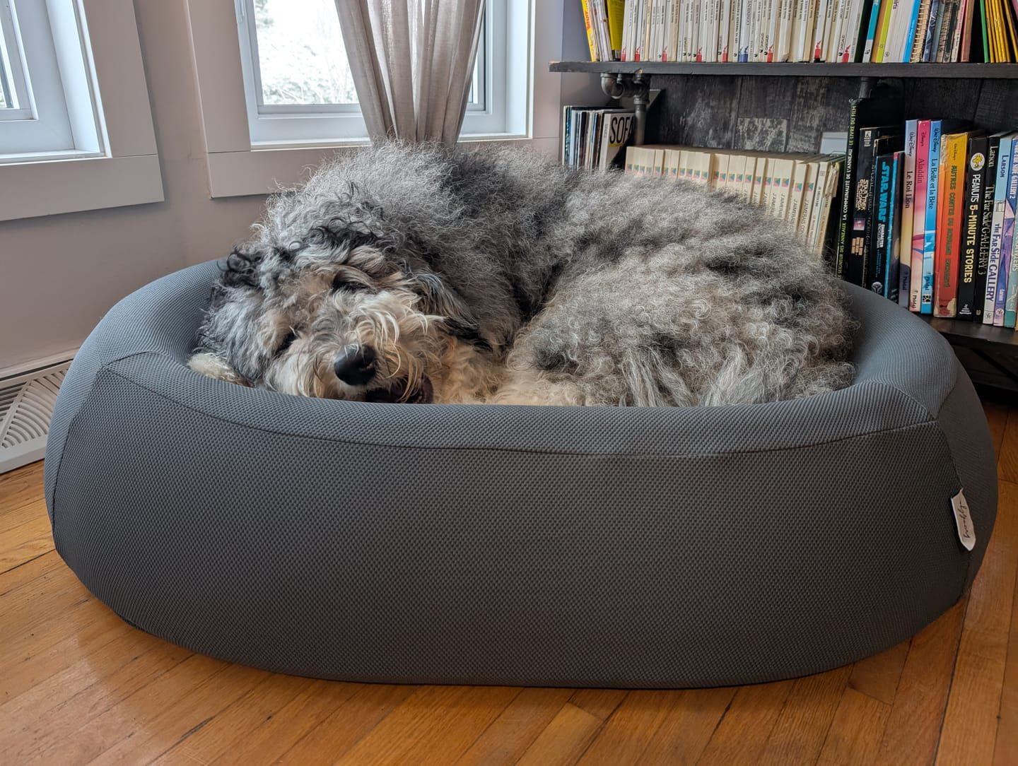 Customer photo review of Brooklyn® Nest Dog Bed