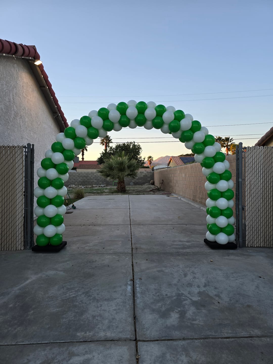 Customer photo review of 10x8 Ft Aluminum Balloon Arch Frame Wedding Arch Stand