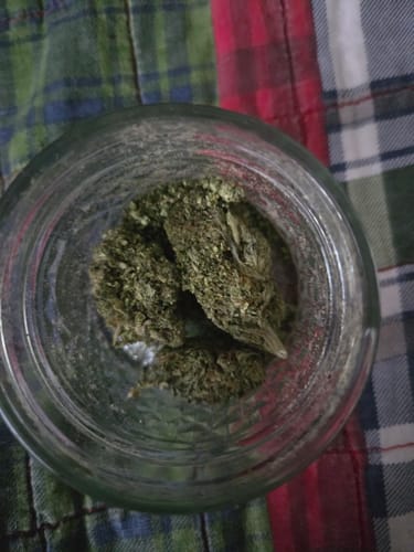 Customer photo review of Skywalker OG THCA Flower