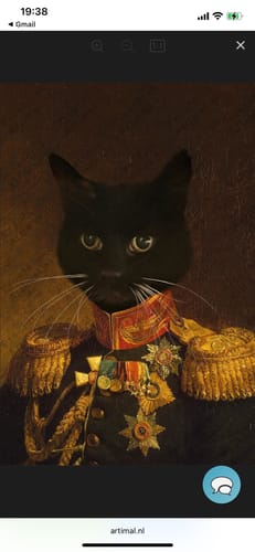 Klant toont het 'De Veteraan' portret, met een zwarte kat in een chique historisch uniform.