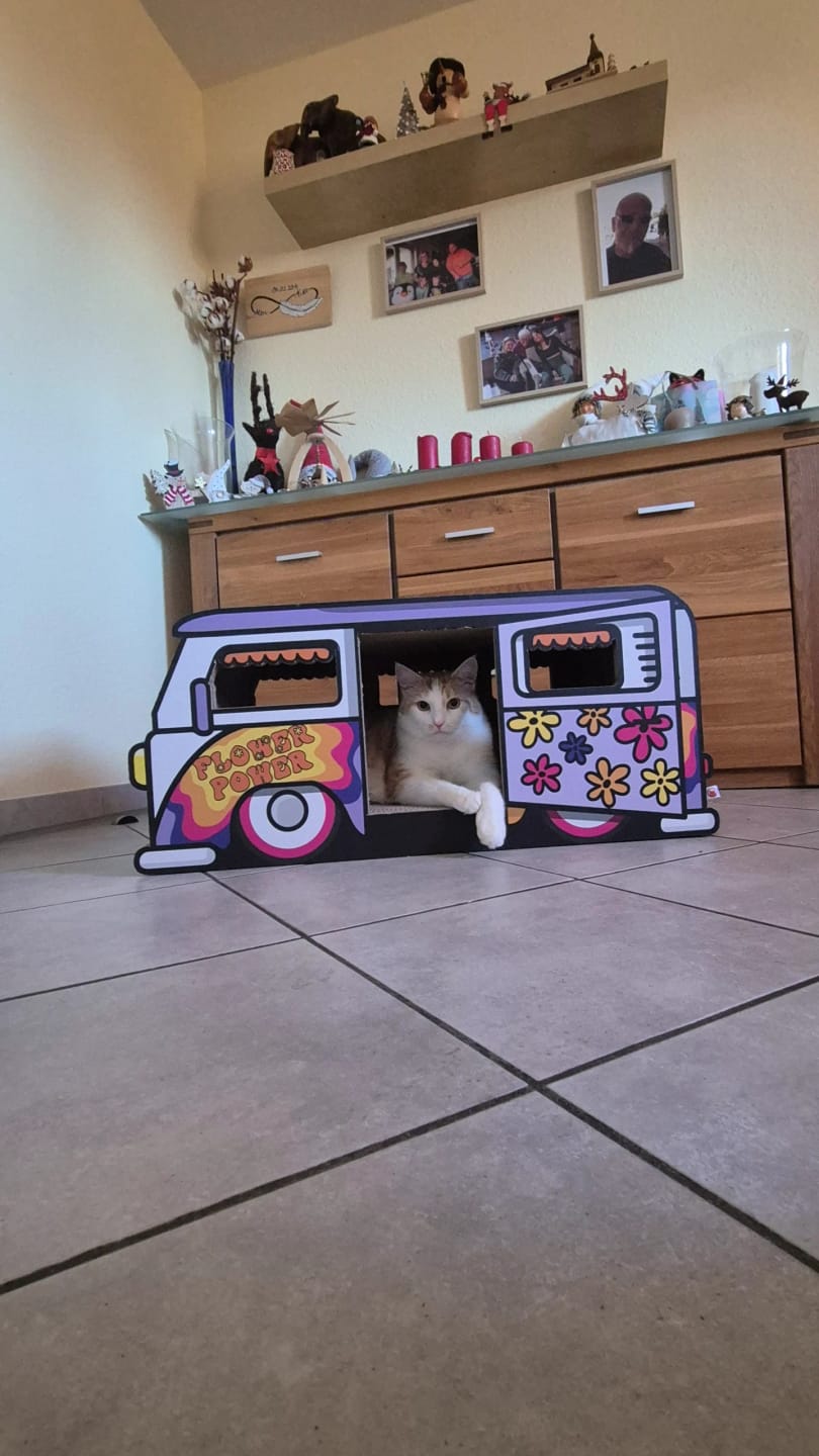 Customer photo review of Hippie-Camper XXL