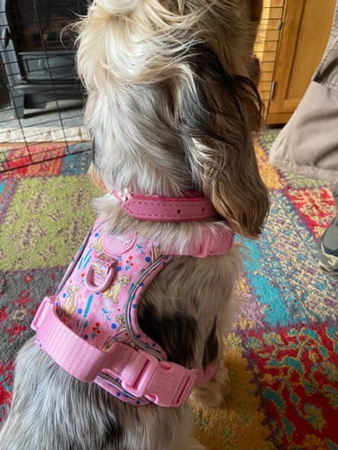 Customer photo review of Disney© Tough Trails™ Harness - Nala