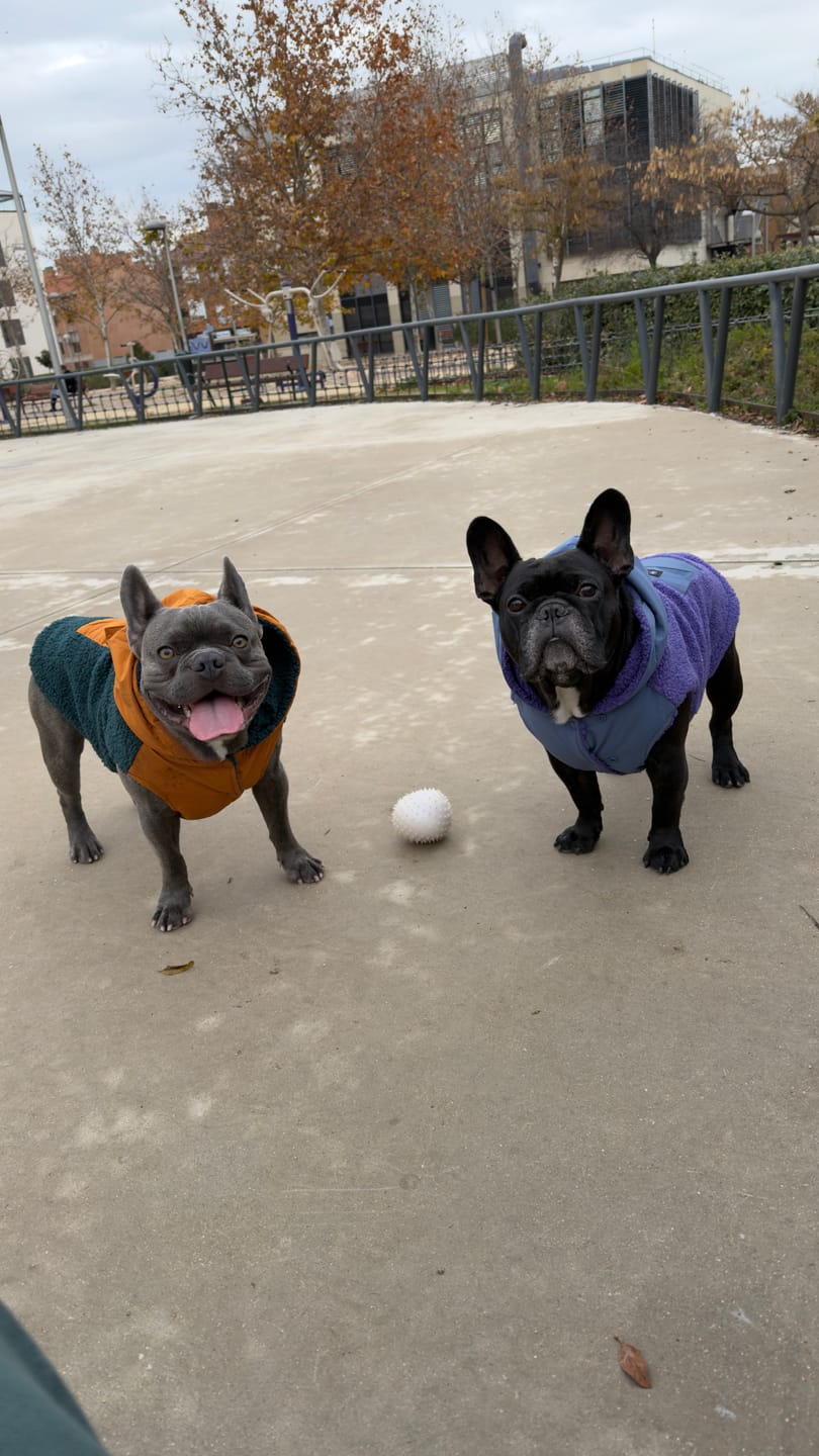 Customer photo review of Reversible Jacket - Green and Orange