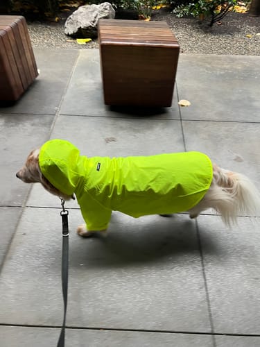 Customer photo review of Nylon Rainbreaker