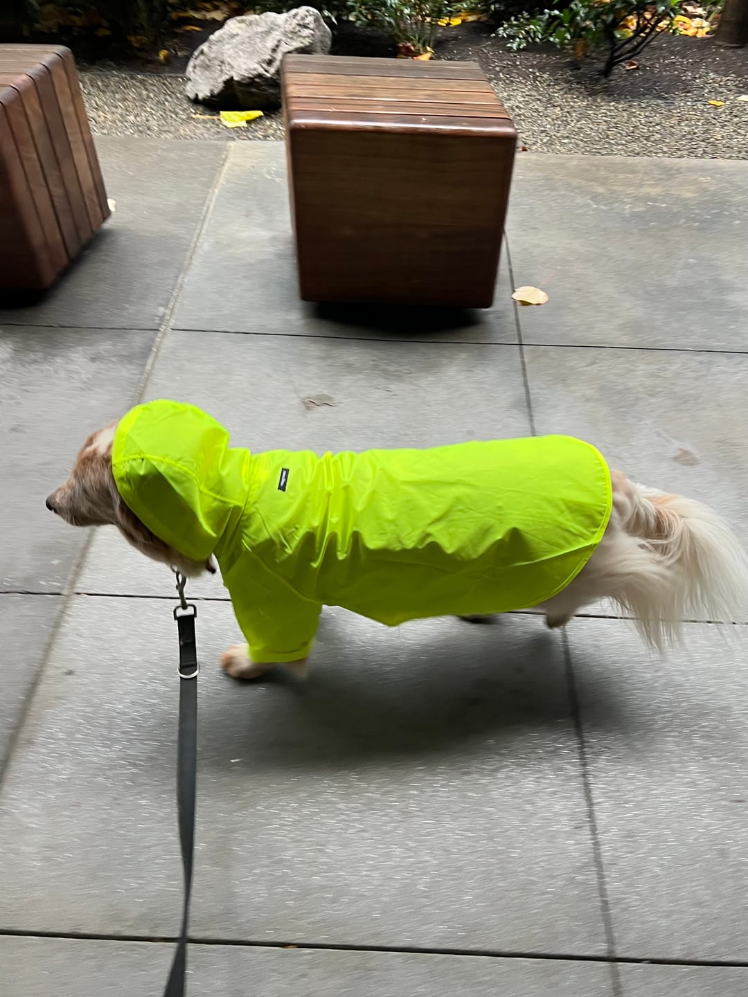 Customer photo review of Nylon Rainbreaker
