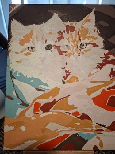 Customer photo review of Twin Cats (Pintura por Números) 40x50 cm