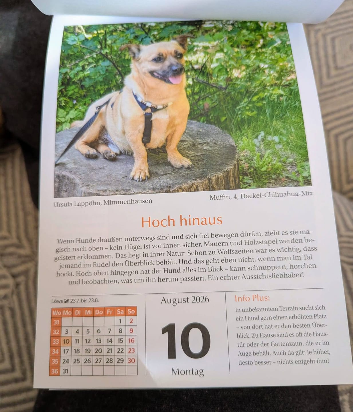 Customer photo review of Dein Foto mit Text - Individuelle Socken