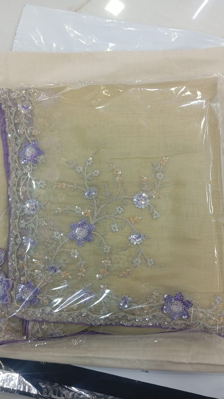 Customer photo review of Pastel Yellow Saree With Embroidery And Handwork Designer Cut Border