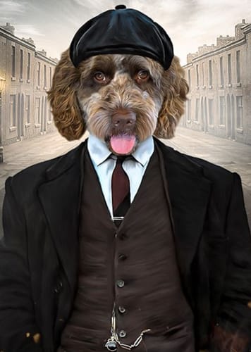 Customer photo review of Pawky Blinders (Thomas)
