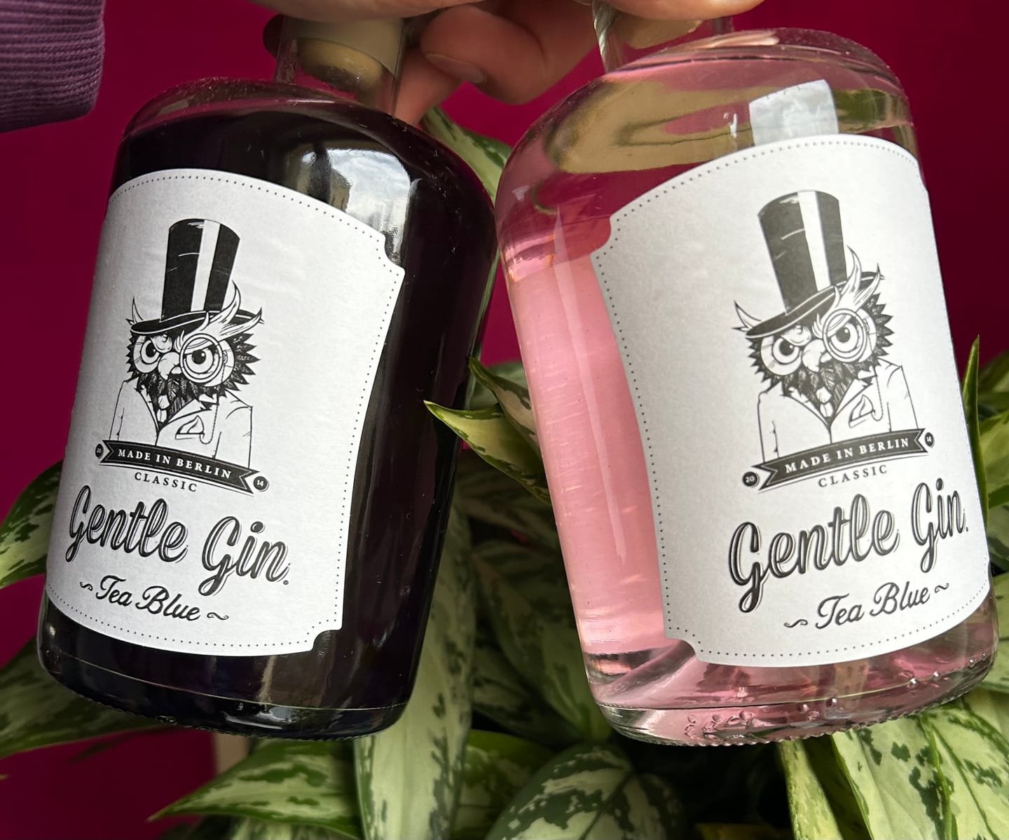 Customer photo review of Gentle Gin Pink One