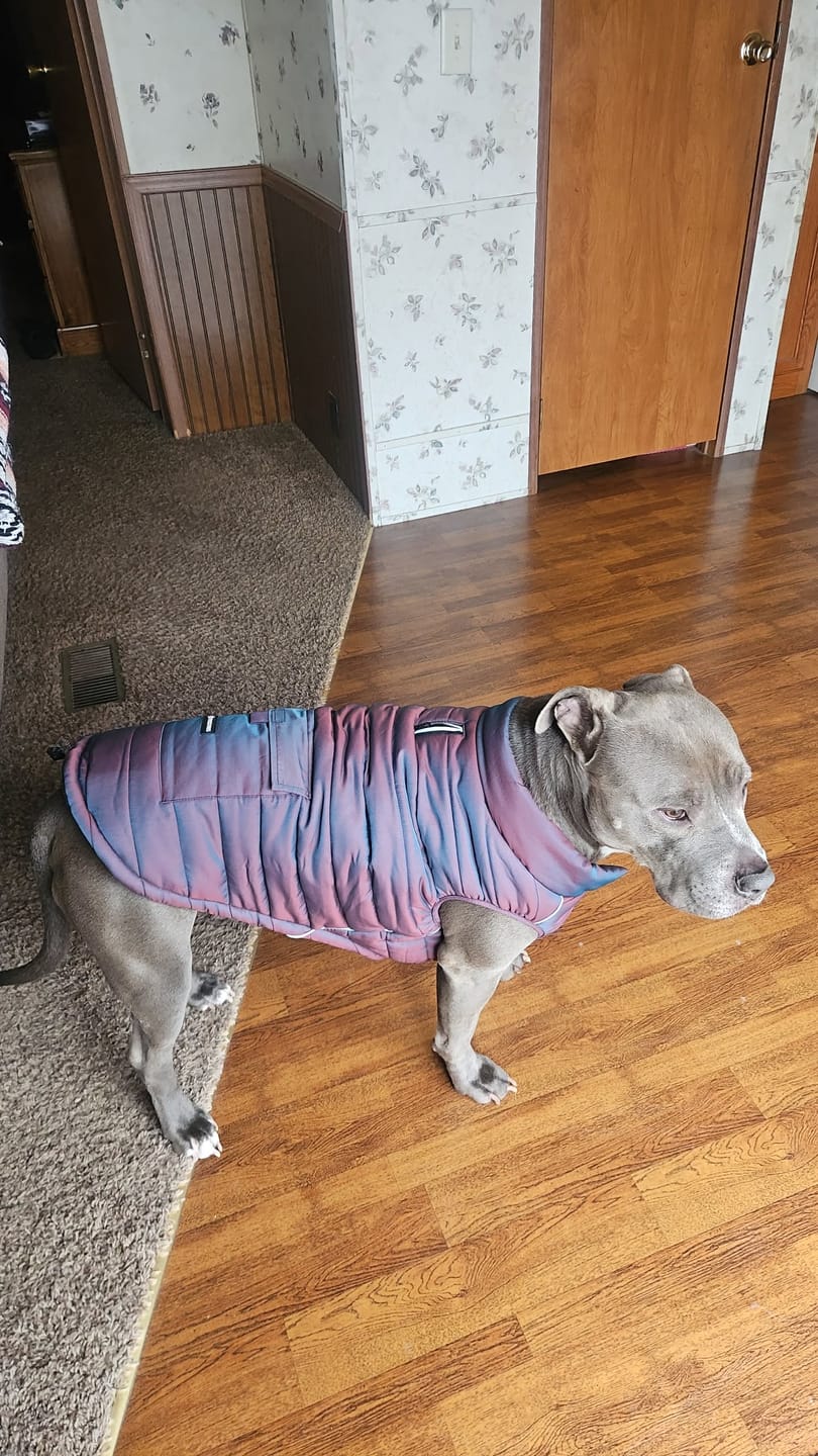 Customer photo review of WarmShield Water-Resistant Jacket - Cosmic