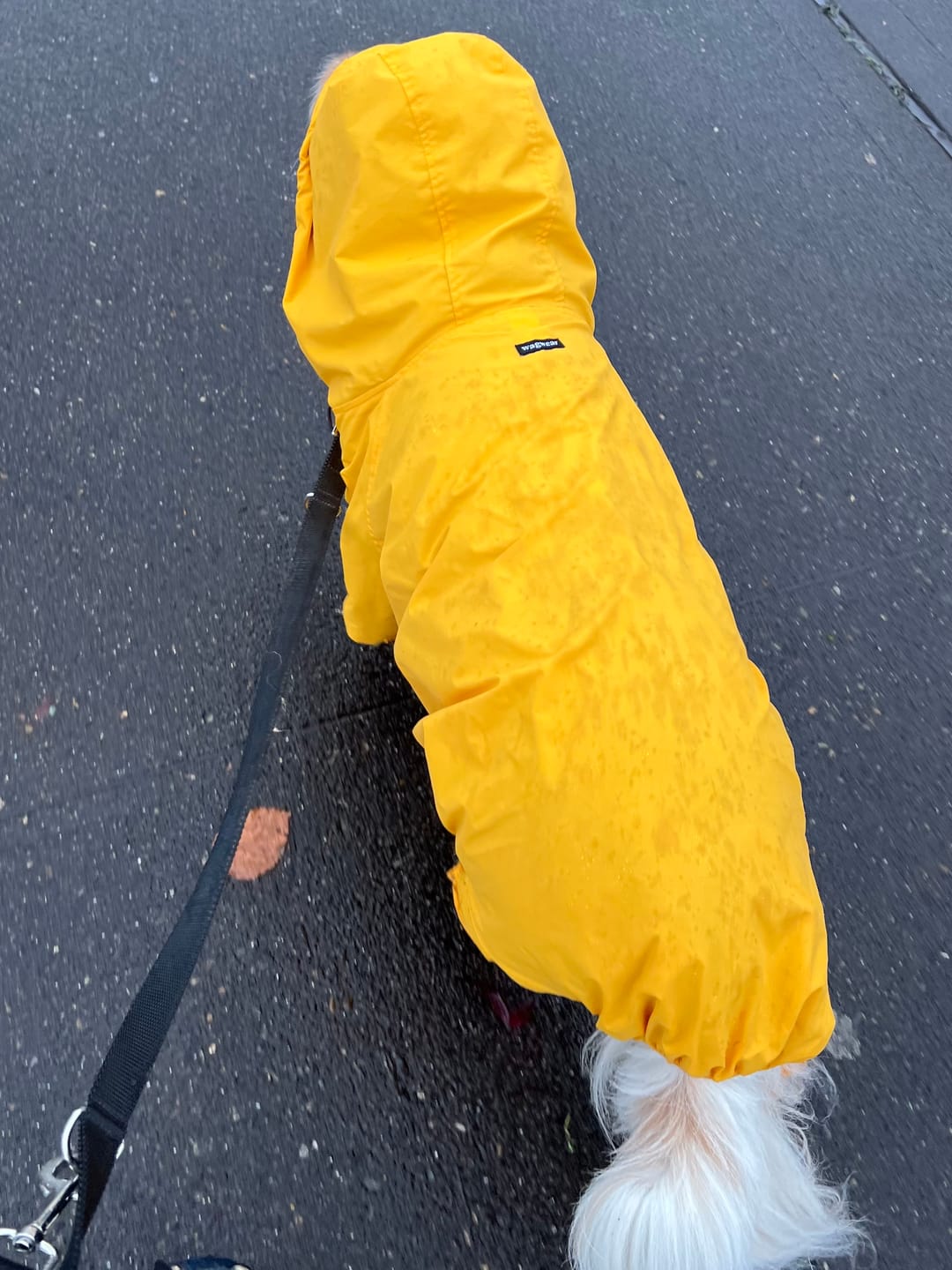 Customer photo review of Nylon Coverall