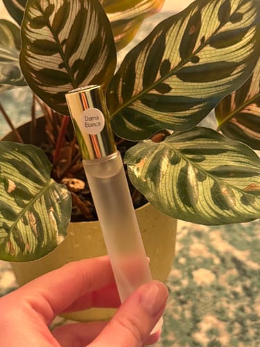 Customer photo review of La Dama Blanche