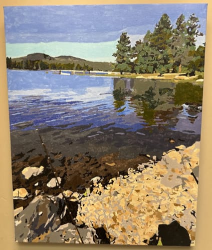 Customer photo review of Custom Landscape Paint By Numbers